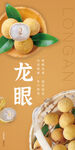 龙眼水果海报