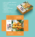 枇杷包装 水果盒子