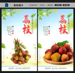 荔枝图片