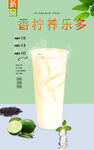 香柠养乐多