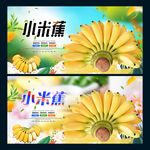 小米蕉
