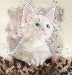 手绘素描宠物猫装饰画海报