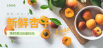 新鲜杏子海报