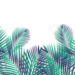卡通插画装饰植物元素