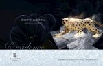 豪宅地产广告