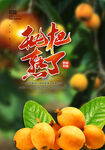 枇杷
