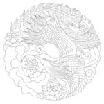 凤凰