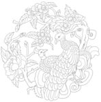 孔雀
