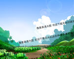 菜园 白菜