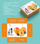 李子包装 李子纸箱