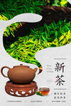 新茶上市