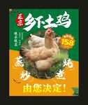 正宗乡下土鸡