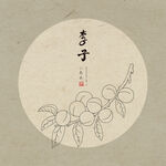 手绘李子
