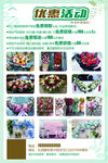 花店优惠活动 花店广告 花篮 