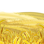 插画卡通芒种麦田元素