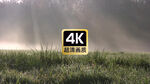 风景素材晨光照射在草地上