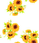 葵花