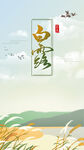白露节日节气海报