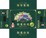 水果包装 