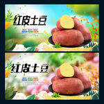红皮土豆