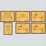陶瓷行业荣誉奖牌铜牌