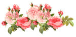高清花