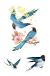 喜鹊 七夕 燕子