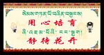 藏式校园标语