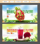 火龙果