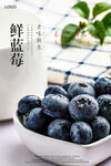 蓝莓海报 