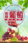 新鲜葡萄