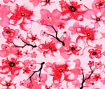 小桃花