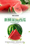 西瓜