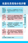 批量伤员现场分拣步骤