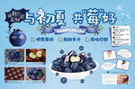 蓝莓店教