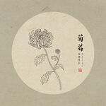 手绘菊花