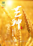 芒种节气广告宣传海报图片