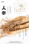 人参海报