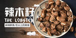 辣木籽海报