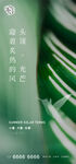 小暑大暑处暑