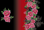 玫瑰花