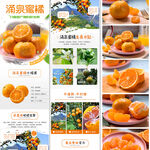 涌泉蜜橘.详情页 psd