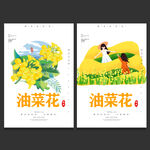 油菜花