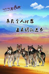 承载个人理想 追求团队进步