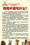 狗狗不能吃什么宠物店展板