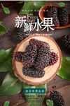 桑葚海报