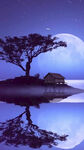 月夜孤树