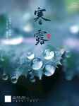 二十四节气寒露海报设计