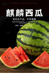 鲜西瓜海报 