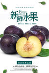 黑布林海报 